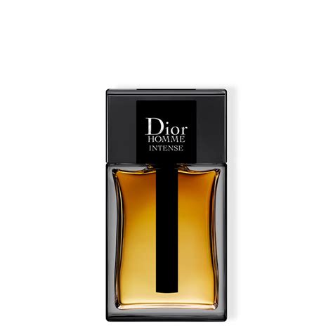 dior s homme buy|dior homme best price.